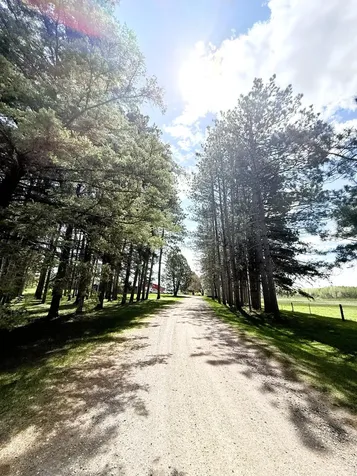 6778 Adelsgruber Drive Kettle River MN 55757