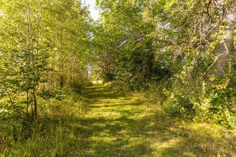 Tbd Abby Lane NW Alexandria MN 56308