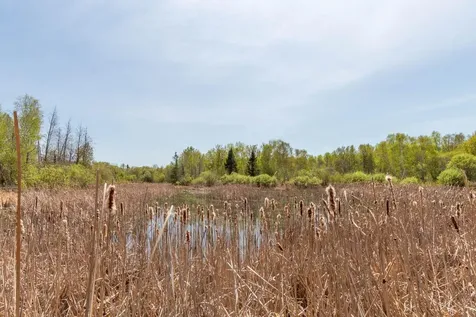 55671 County Road 126 Northome MN 56661