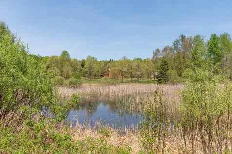 55671 County Road 126 Northome MN 56661