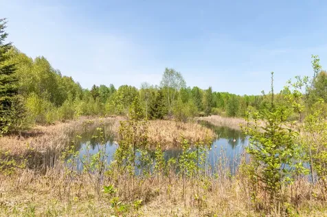55671 County Road 126 Northome MN 56661
