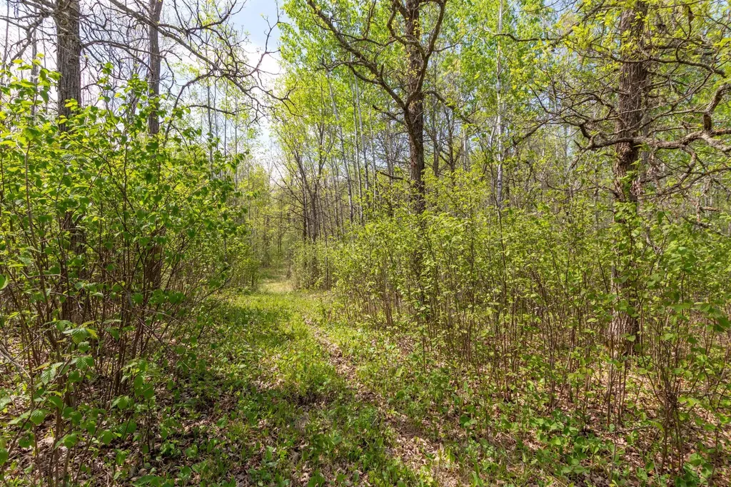 Tbd Stephani Road NW Puposky MN 56667