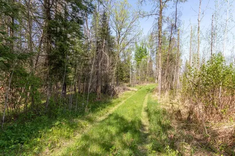 Tbd Stephani Road NW Puposky MN 56667