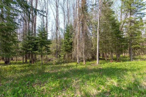 Tbd Stephani Road NW Puposky MN 56667