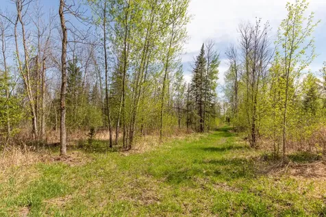 Tbd Stephani Road NW Puposky MN 56667