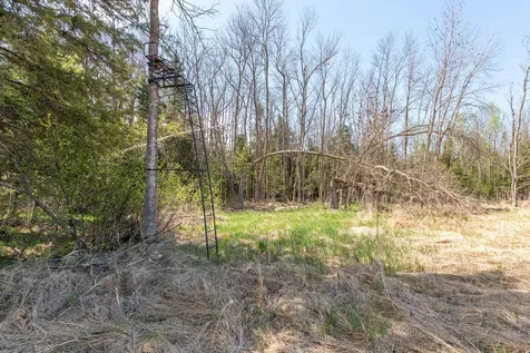 Tbd Stephani Road NW Puposky MN 56667