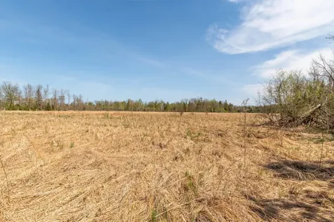 Tbd Stephani Road NW Puposky MN 56667