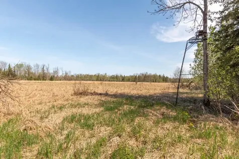 Tbd Stephani Road NW Puposky MN 56667