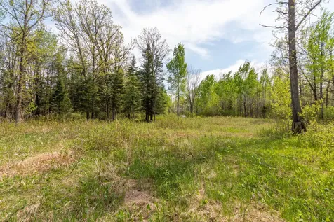 Tbd Stephani Road NW Puposky MN 56667