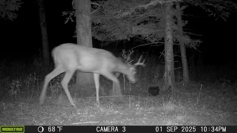 Tbd Stephani Road NW Puposky MN 56667