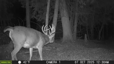 Tbd Stephani Road NW Puposky MN 56667