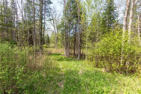 Tbd Stephani Road NW Puposky MN 56667