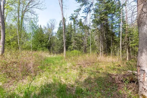 Tbd Stephani Road NW Puposky MN 56667
