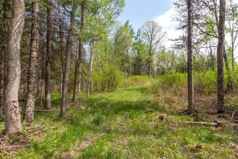 Tbd Stephani Road NW Puposky MN 56667