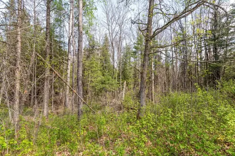 Tbd Stephani Road NW Puposky MN 56667