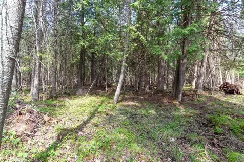 Tbd Stephani Road NW Puposky MN 56667