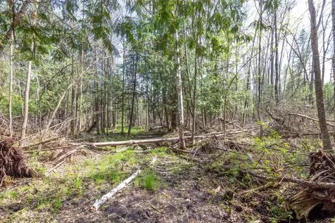 Tbd Stephani Road NW Puposky MN 56667