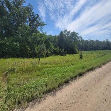 Tbd Jeff Lake Road Richville MN 56576