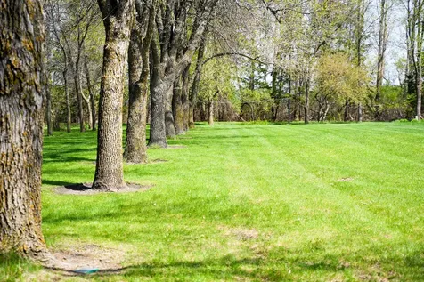 24767 300th Avenue SE Brooks MN 56715