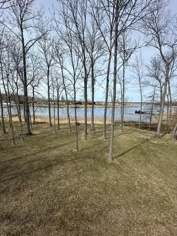 17413 E Pine Drive NW Angle Inlet MN 56711