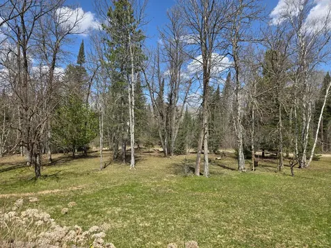 37373 Hanson Road Bigfork MN 56628
