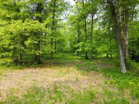 Tbd Little Bass Lake Road Baxter MN 56425