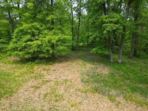 Tbd Little Bass Lake Road Baxter MN 56425