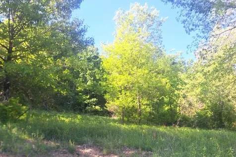 44412 Dakota Valley Drive Dakota MN 55925
