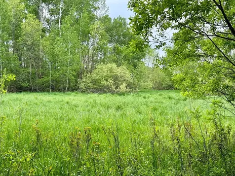 1065 105th Avenue Milaca MN 56353