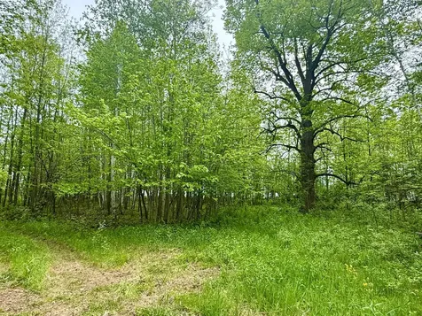 1065 105th Avenue Milaca MN 56353
