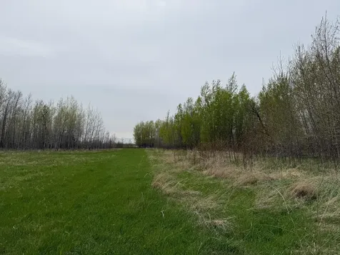24306 County Road 6 Strathcona MN 56759