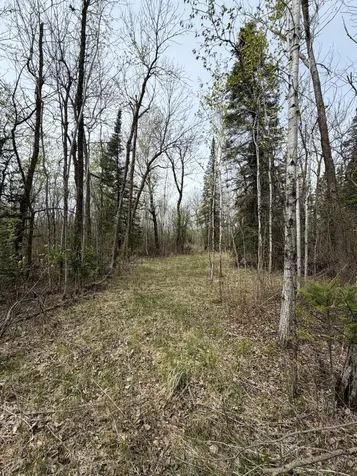 24306 County Road 6 Strathcona MN 56759