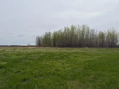 24306 County Road 6 Strathcona MN 56759