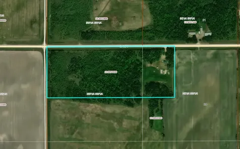 24306 County Road 6 Strathcona MN 56759