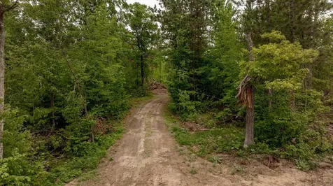 22132 Buckhorn Trail Merrifield MN 56465