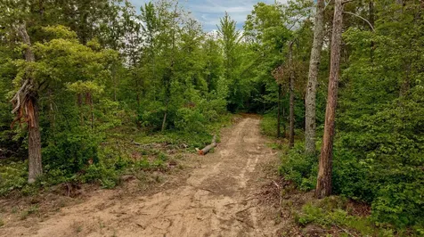 22132 Buckhorn Trail Merrifield MN 56465