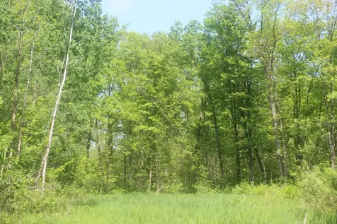 22748 160th Avenue Milaca MN 56353
