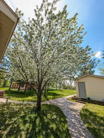32141 Brightwood Shore Drive Dent MN 56528