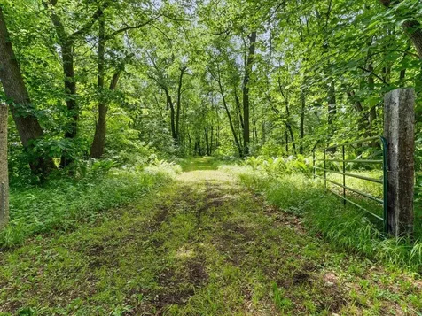 27177 Ridgewood Drive Merrifield MN 56465