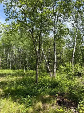 Tbd Highway 23 Bruno MN 55712