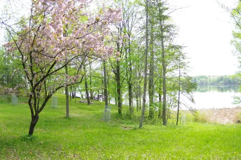19684 Lake Julia Drive NW Bemidji MN 56601