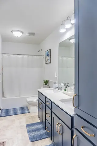 1407 Ironwood Court Carver MN 55315
