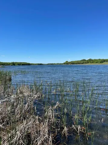 38481 County Highway 41 Dent MN 56528