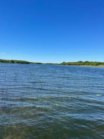 38481 County Highway 41 Dent MN 56528