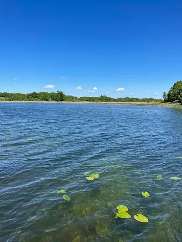 38481 County Highway 41 Dent MN 56528