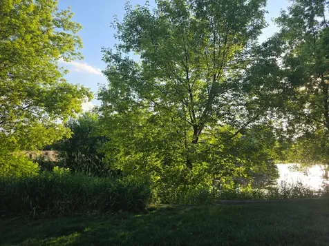 17973 96th Avenue N Maple Grove MN 55311
