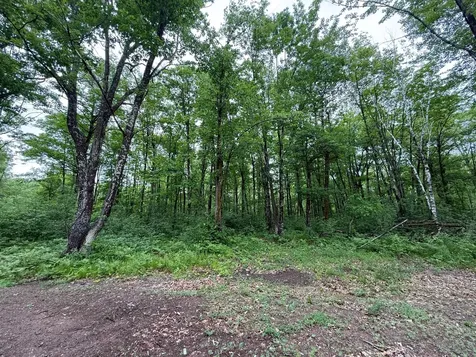 54520 United Country Court Sandstone MN 55072