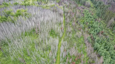 1249 Gabbro Road Brimson MN 55602