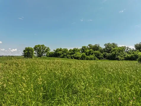 23569 County Road 99 SW Kensington MN 56343