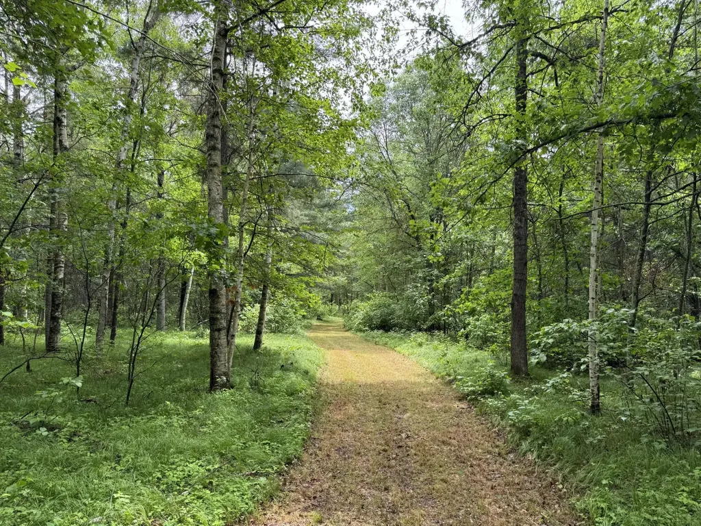 Tbd County Road 13 Nisswa MN 56468